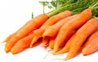 Снижает ли морковь холестерин в крови?