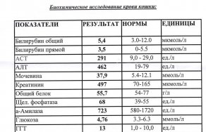 Биохимический анализ крови. АЛТ и АСТ расшифровка показателей