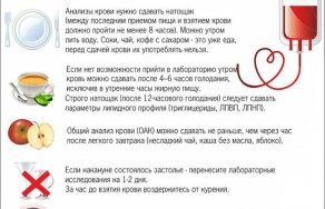Можно ли пить перед сдачей крови — правила проведения общего, биохимического анализа или на уровень сахара