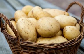 Можно ли есть картошку при повышенном холестерине?