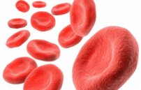 Определение инсулина в крови: какова норма для здорового человека?