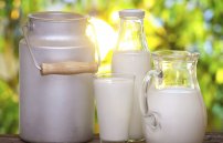 Молоко при сахарном диабете польза и рекомендации. Можно ли пить молоко при сахарном диабете 2 типа
