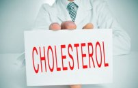 Какие гормоны являются производными холестерина?