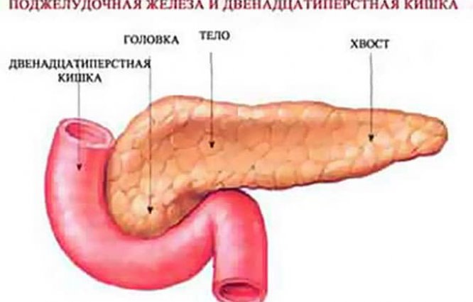Деформация поджелудочной железы что это такое