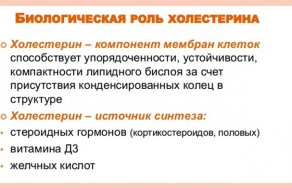Причины повышения холестерина и билирубина
