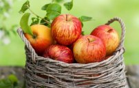 Можно ли есть яблоки при панкреатите поджелудочной железы?