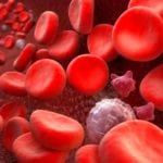 Как правильно подготовиться к сдаче анализа крови на холестерин?
