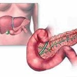 Ультразвуковые изменения в поджелудочной железе при сахарном диабете thumbnail