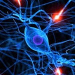 Диабетическая и алкогольная полинейропатия: что это такое, различные этиологии, симптомы и поражение, лечение Диабетическая и алкогольная полинейропатия: что это такое, различные этиологии, симптомы и поражение, лечение