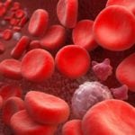 Что показывает гликированный гемоглобин в крови