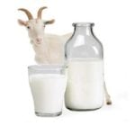 Можно ли пить молоко при панкреатите поджелудочной железы?