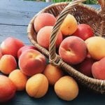 Можно ли есть персики при панкреатите?
