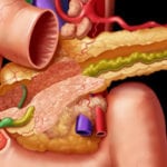 Как влияет поджелудочная железа на обмен веществ thumbnail