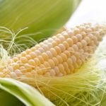 Кукурузные рыльца полезны для поджелудочной железы thumbnail