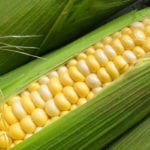 Можно ли кукурузу при панкреатите?