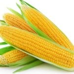 Можно ли кукурузу при панкреатите?