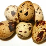 Можно ли есть перепелиные яйца при повышенном холестерине?