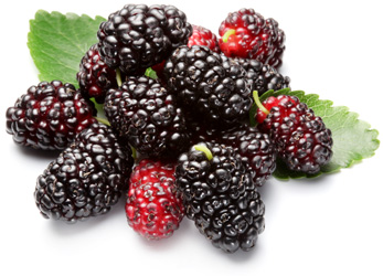 Какие ягоды можно есть при сахарном диабете 2 типа и какие нельзя