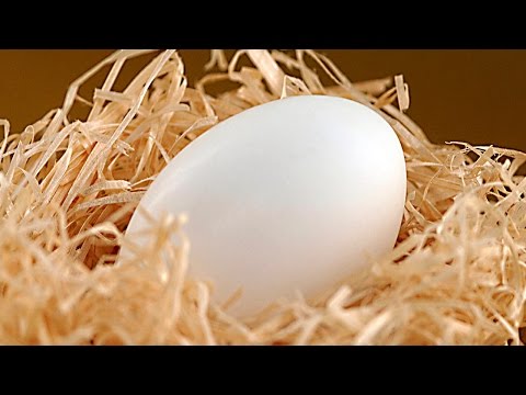 Можно ли есть перепелиные яйца при повышенном холестерине