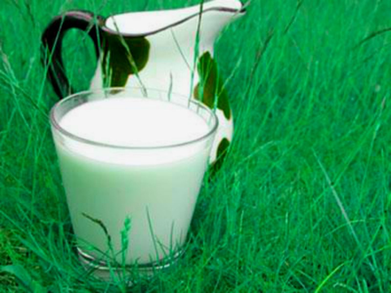 Молоко при сахарном диабете польза и рекомендации. Можно ли пить молоко при сахарном диабете 2 типа
